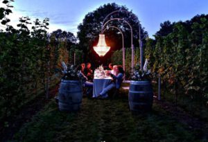 Chandeliers and wedding dinner