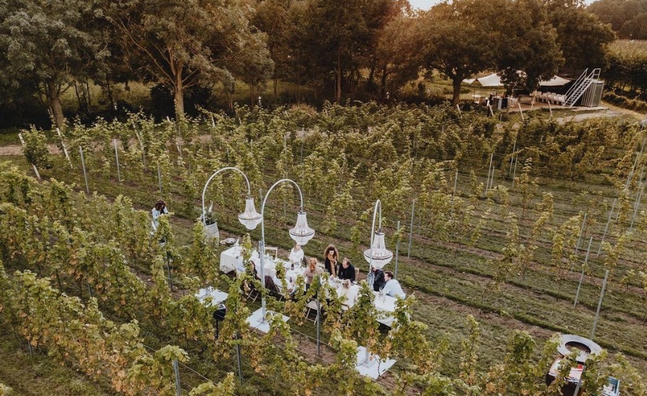 dinner between grapes