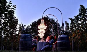 wedding dinner with chandeliers